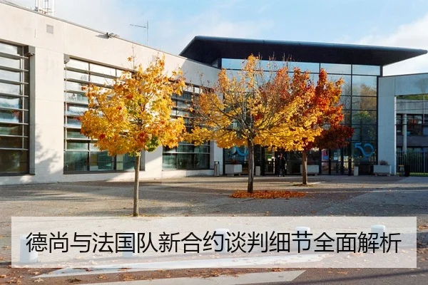 德尚与法国队新合约谈判细节全面解析