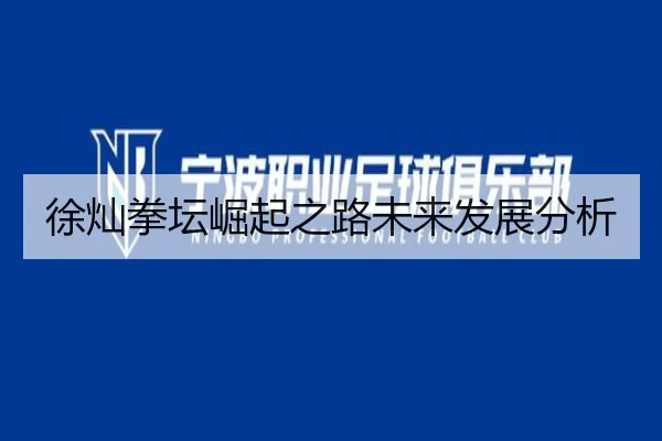 徐灿拳坛崛起之路未来发展分析